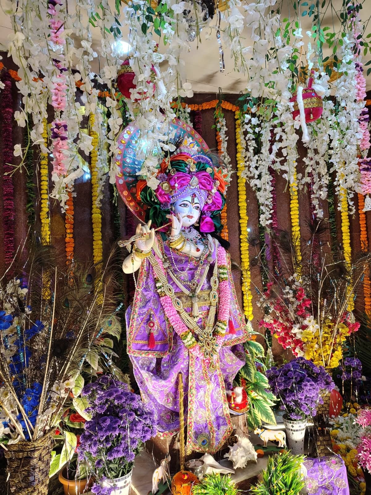 Shree Gopal Krishna amid peacock feathers, blue and violet flowers and white floral strands