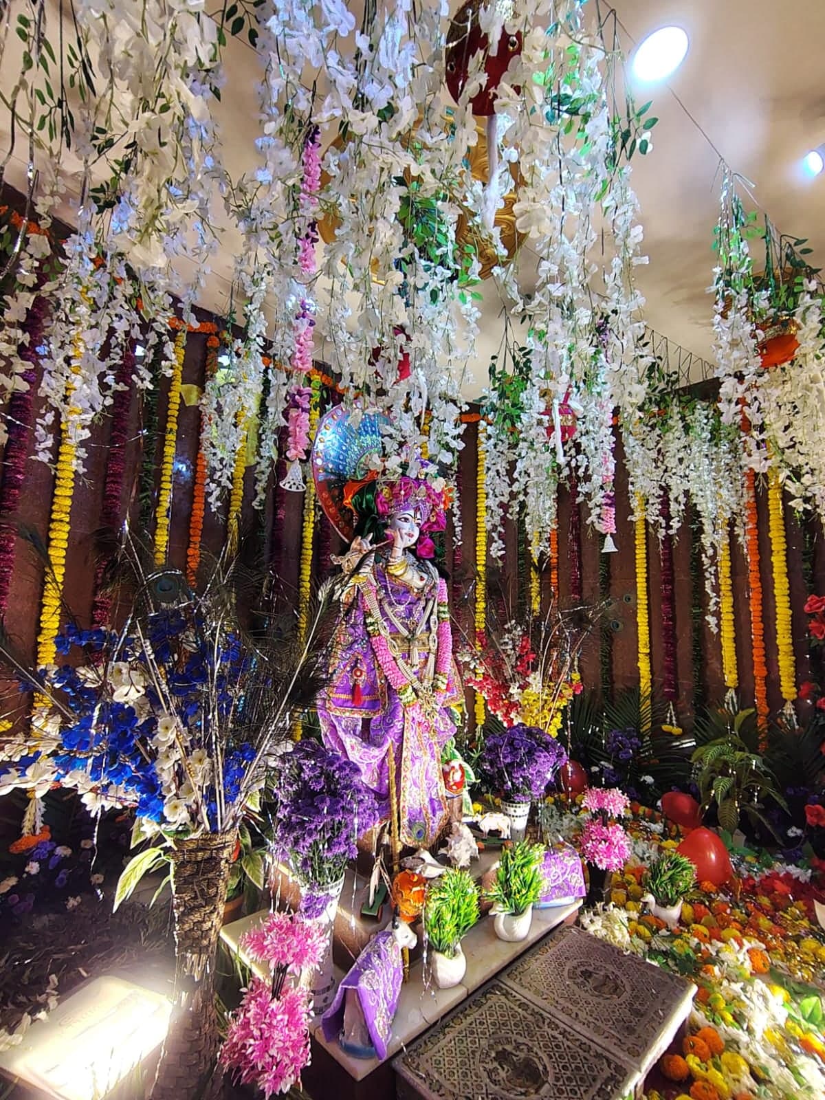 Shringar of Shree Gopal Krishna beneath cascades of white flowers and marigold garlands